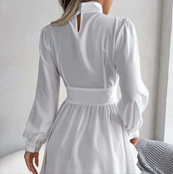 Bold and Flirty Turtleneck Mini Dress - Picture 5 of 10